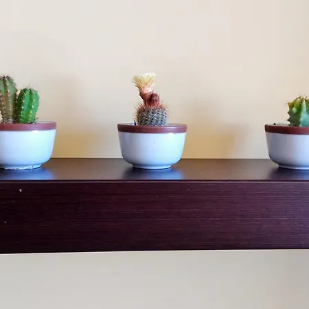 Algarve Vibes 2, Wifi, Pool, Ac *