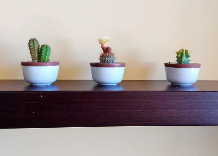 Algarve Vibes 2, Wifi, Pool, Ac *